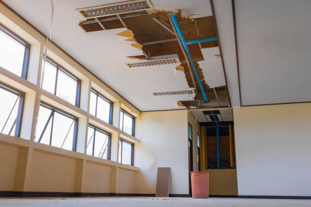 Best Fire Damage Restoration  in Halstead, KS