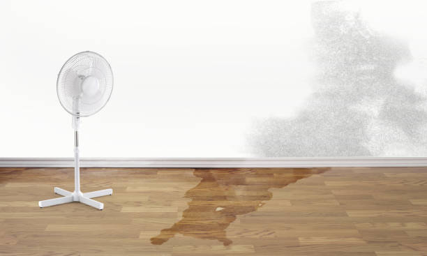 Best Water damage restoration near me  in Halstead, KS