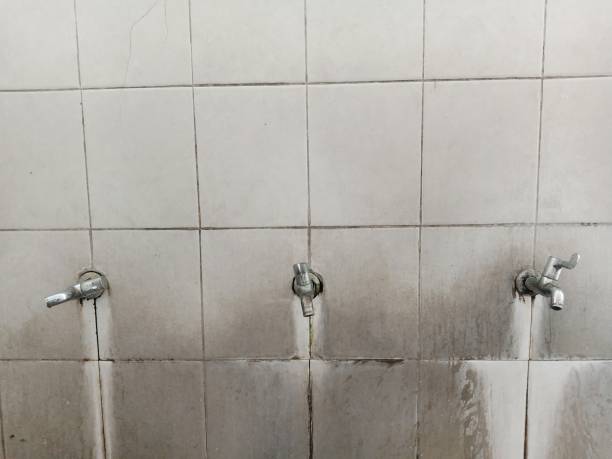 Best Basement water damage restoration  in Halstead, KS