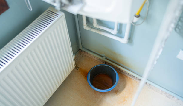 Best Water damage restoration near me  in Halstead, KS